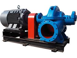 Double Suction Water Pump